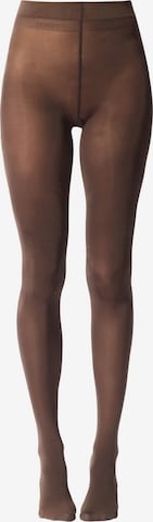 JOOP! Tights in Brown: front