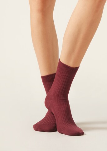 CALZEDONIA Socks in Red: front
