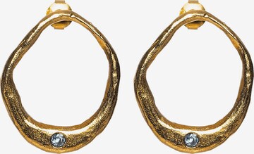 Haze&Glory Earrings in Gold: front