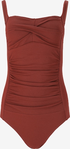 Cruz Swimsuit 'Nicola' in Brown: front