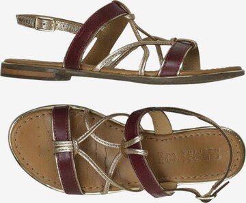 GEOX Sandalen 35 in Mischfarben: Vorderseite