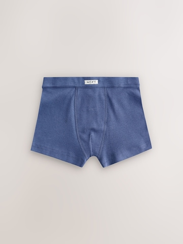 Next Underpants in Beige
