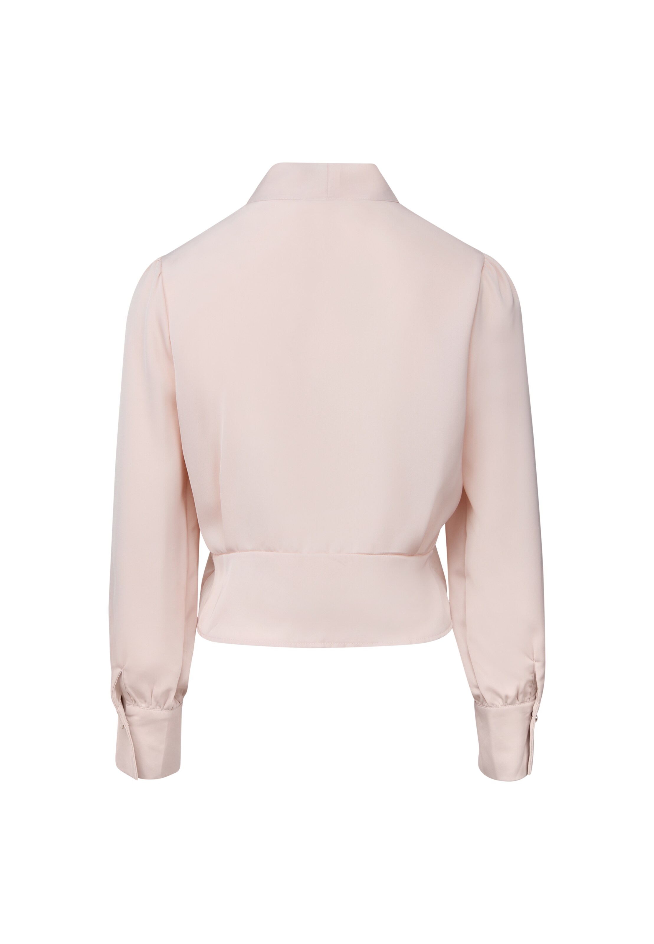usha BLACK LABEL Blouse in Pink