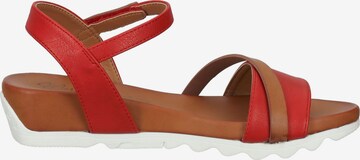 MUSTANG Sandals in Red