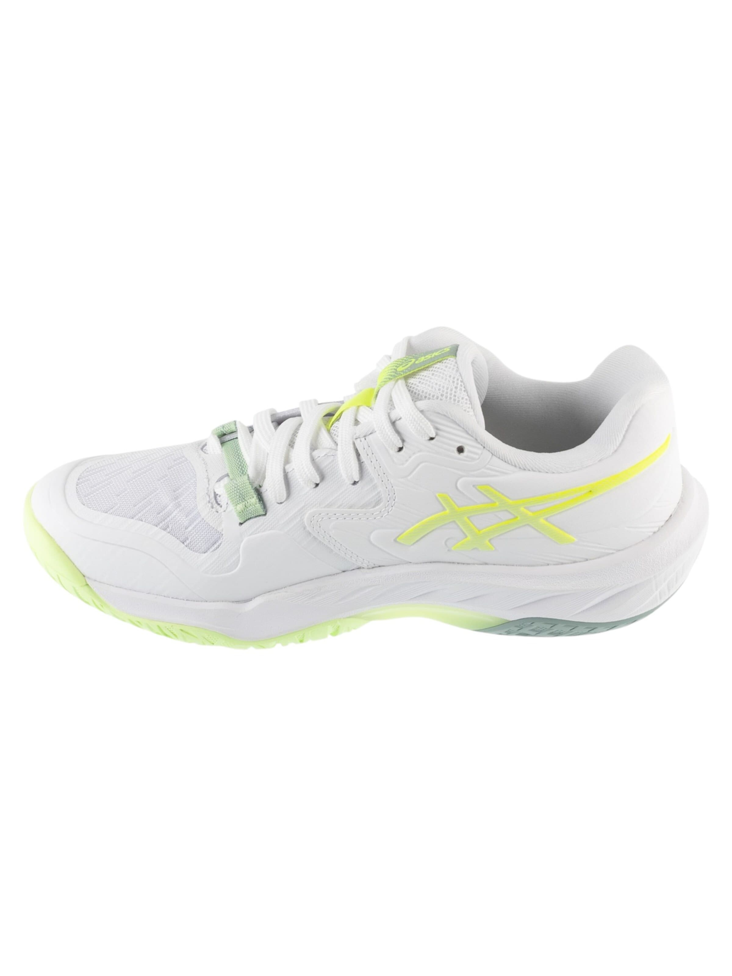 ASICS Sportschoen 'ASICS Sky Elite FF 4' in Wit