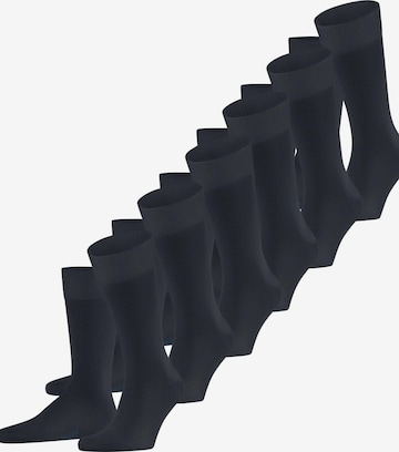FALKE Socken 'Happy 6-Pack' in Blau: Vorderseite