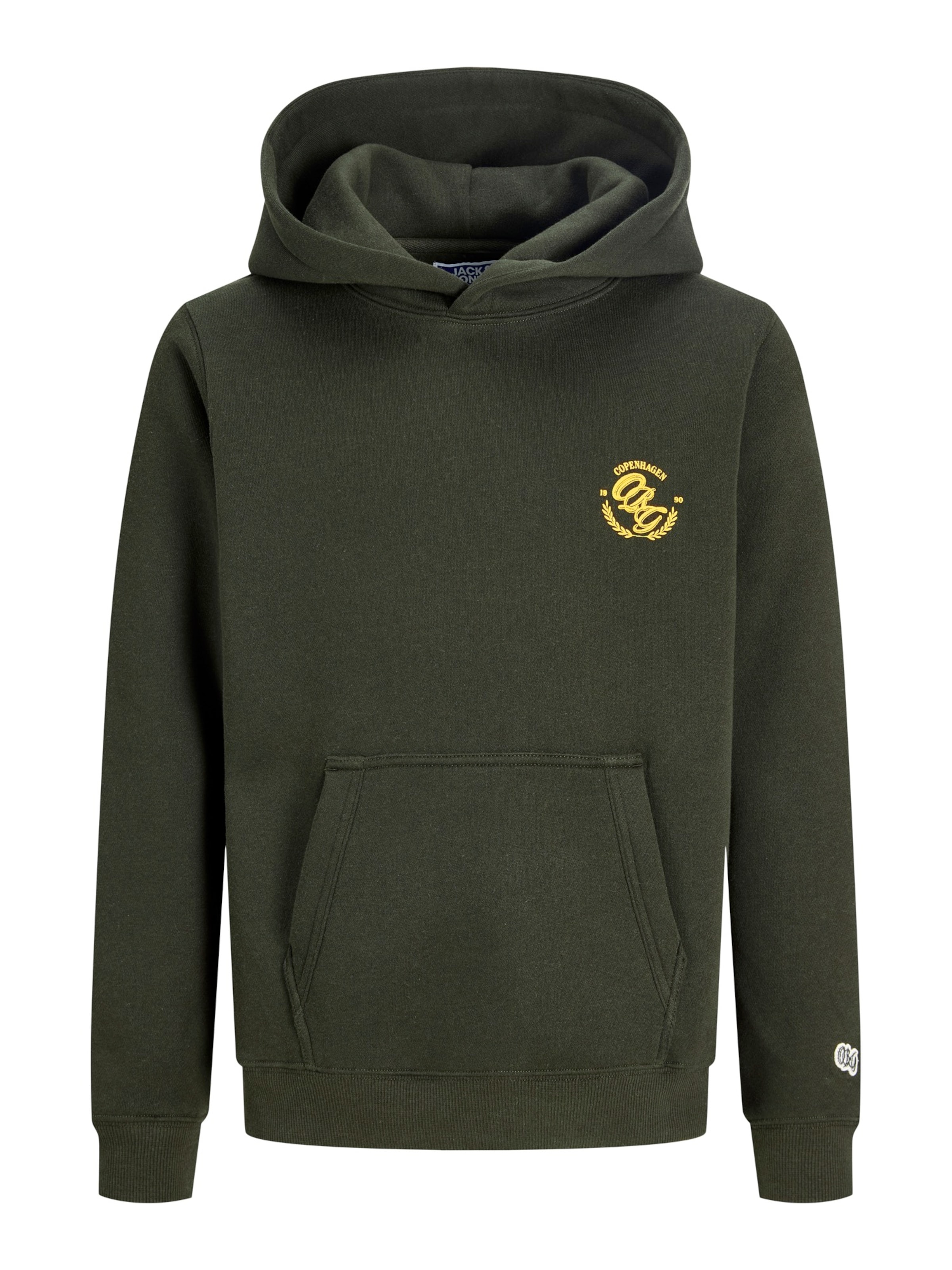 Jack & Jones Junior Sweatshirt 'JORFrederiksberg' in Grün: Vorderseite