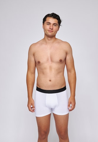 SNOCKS Boxershorts in Grau