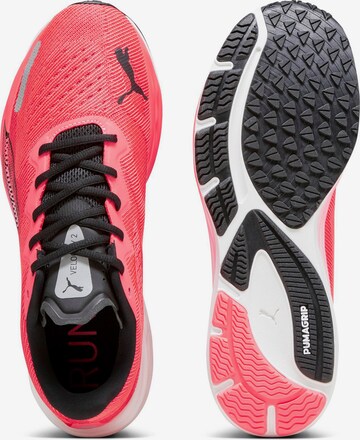 PUMA - Sapatilha de corrida 'Velocity Nitro 2' em vermelho