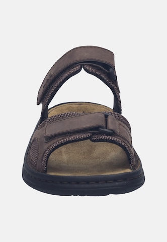 JOSEF SEIBEL Sandal 'MAX 75' in Brown