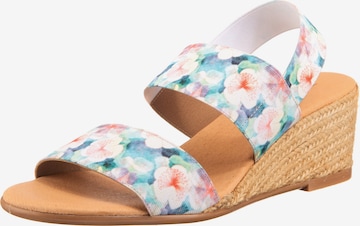 Paul Vesterbro Strap Sandals in Mixed colors: front