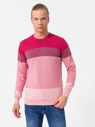 Dandalo Pullover in Pink