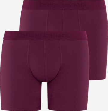 BRUNO BANANI Boxer shorts in Purple: front