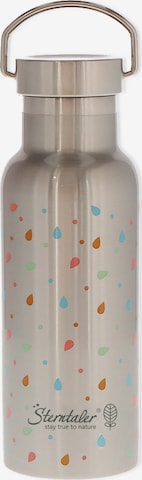 STERNTALER Thermos in Silver: front