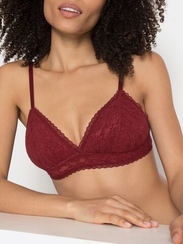 s.Oliver Triangle Bra in Red