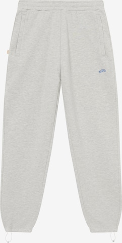 BLKVIS Zúžený Kalhoty – šedá: přední strana