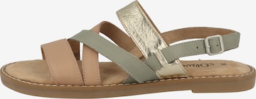 s.Oliver Strap Sandals in Mixed colors