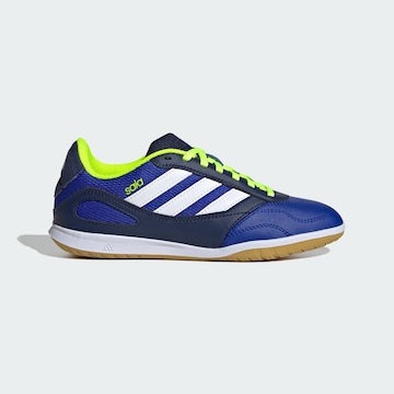 Chaussure de sport 'Super Sala Competition 3' ADIDAS PERFORMANCE en bleu