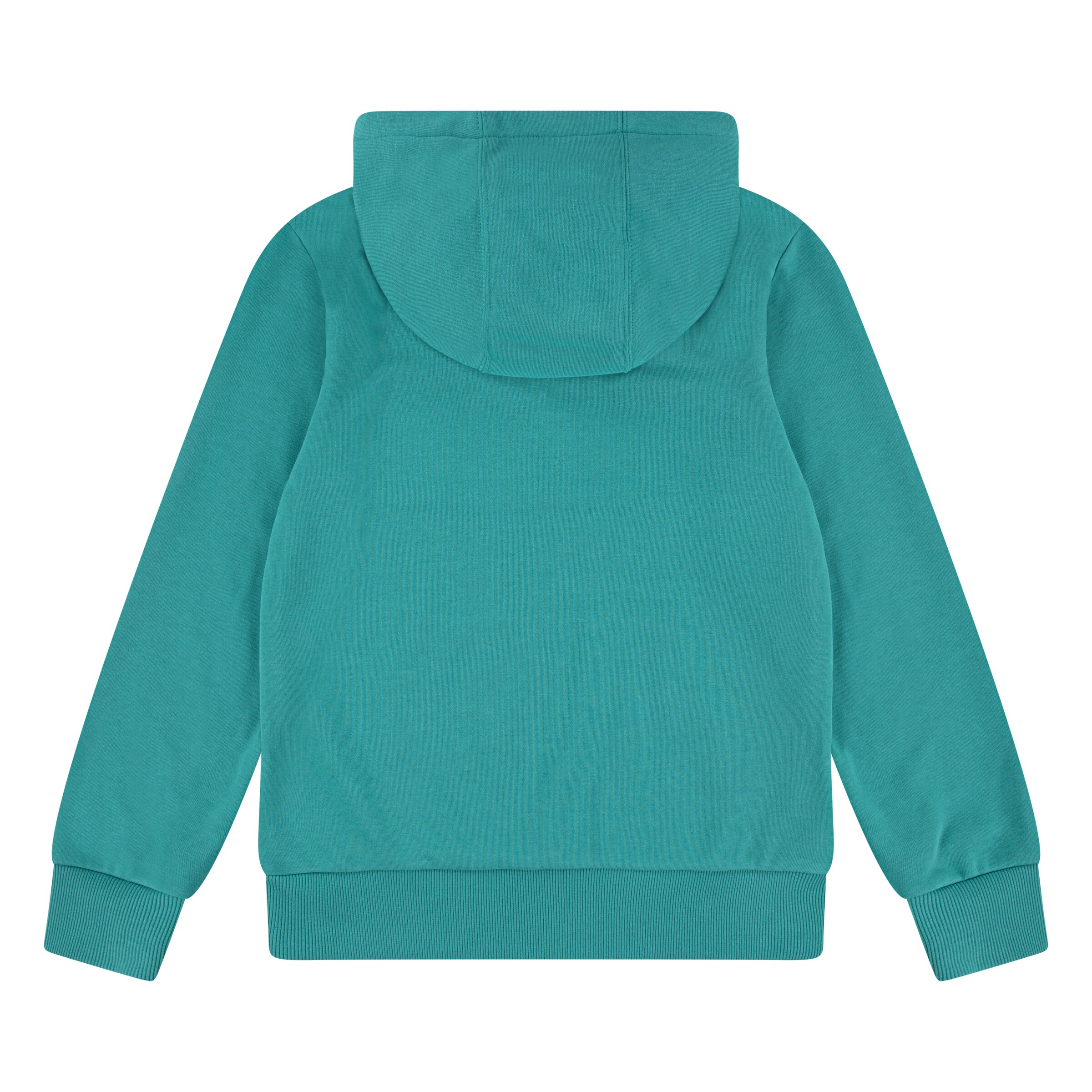 Levi's Kids Regular fit Μπλούζα φούτερ σε πράσινο