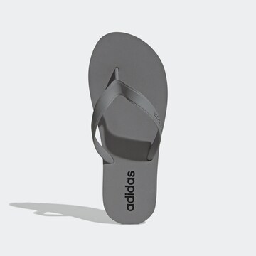 ADIDAS SPORTSWEAR Босоножки через палец 'KEITAKI ALPHA' в Серый