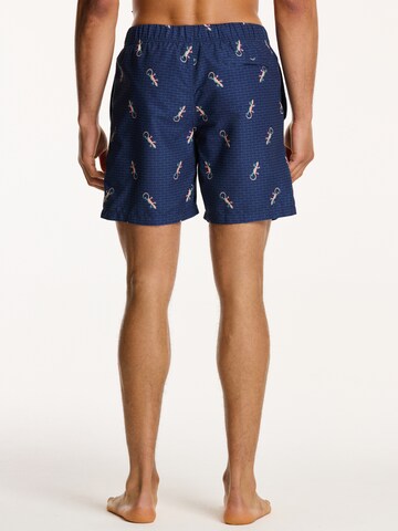 Shiwi Swimming shorts in Blue