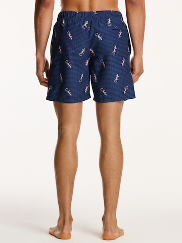 Shiwi Badeshorts in Blau