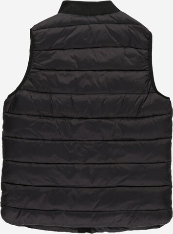 Petrol Industries Bodywarmer in Zwart