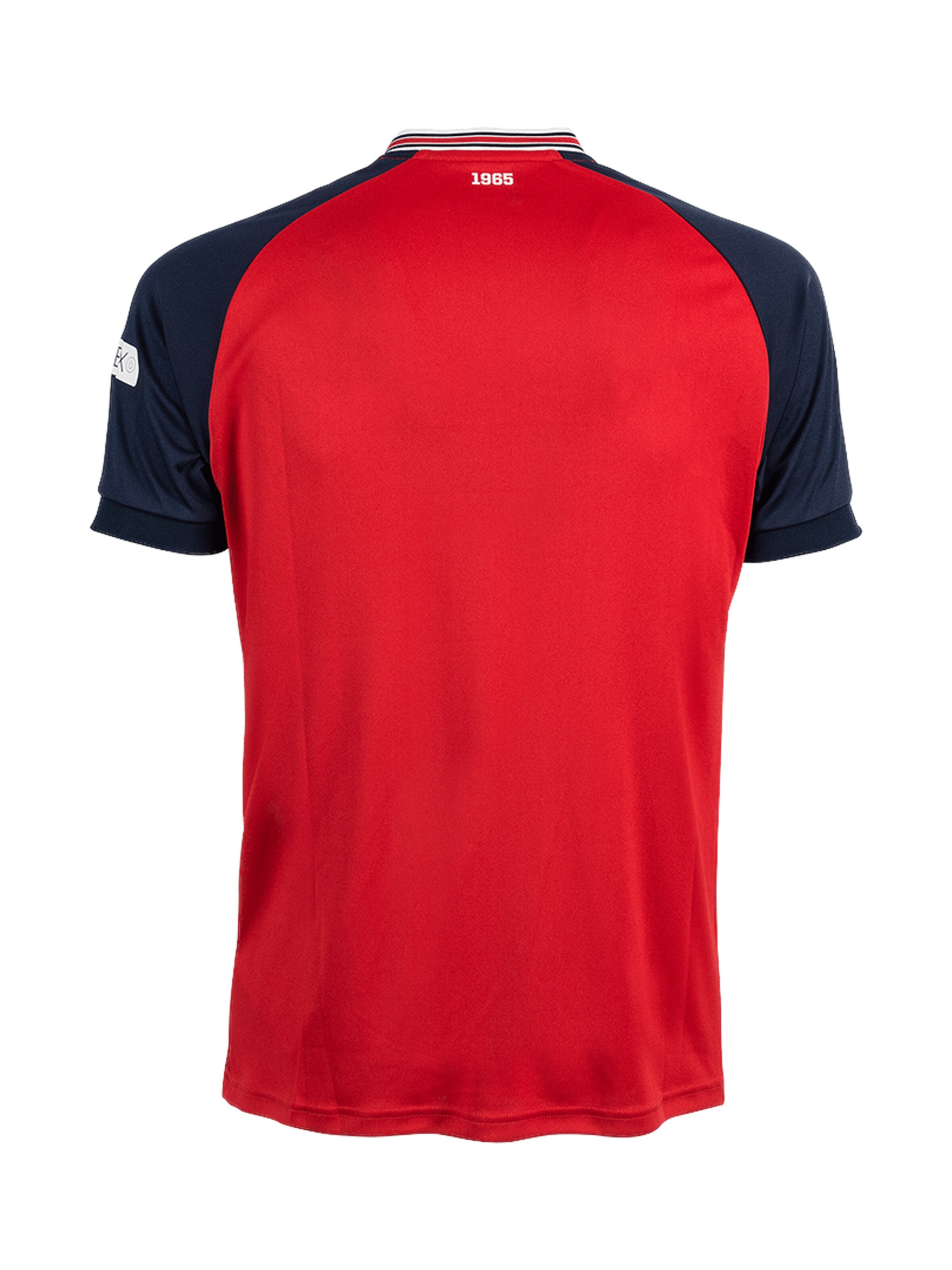 MIZUNO Performance shirt 'FC Hansa Rostock' in Red