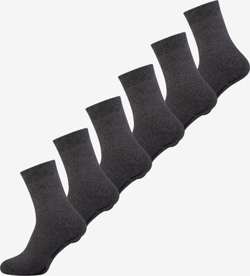 Nur Die Sokken ' Silikondruck ' in Grijs: voorkant