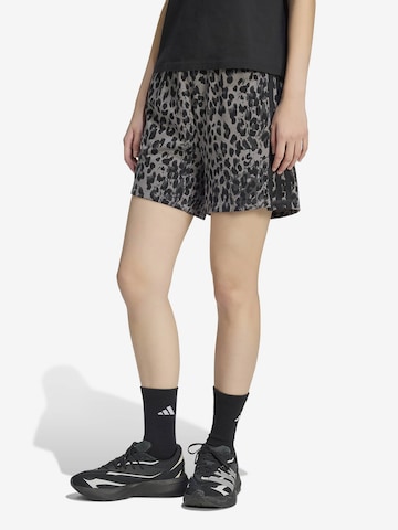 ADIDAS SPORTSWEAR regular Παντελόνι φόρμας σε γκρι: μπροστά