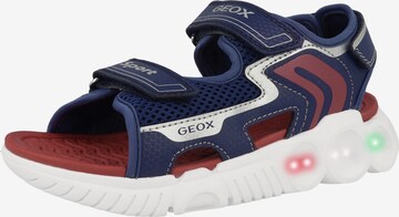 GEOX Open schoenen 'J S.Wroom B. A' in Blauw: voorkant