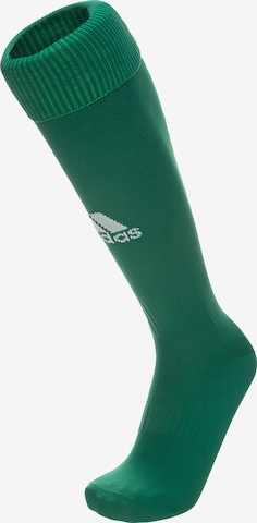 ADIDAS SPORTSWEAR Soccer Socks 'Santos 18' in Green: front
