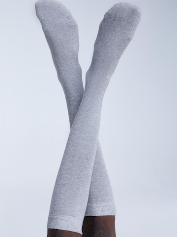 Albero Natur Knee High Socks in Grey