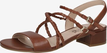 CAPRICE Sandals in Brown: front