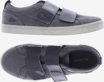 LACOSTE Sneaker 39 in Grau: predná strana