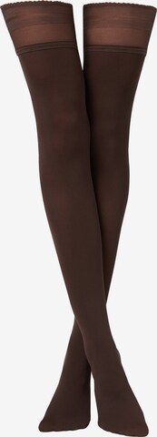 CALZEDONIA Hold-up stockings in Brown: front