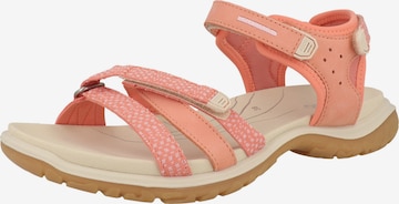 Sandalo da trekking 'Offroad Roam' di ECCO in rosa: frontale
