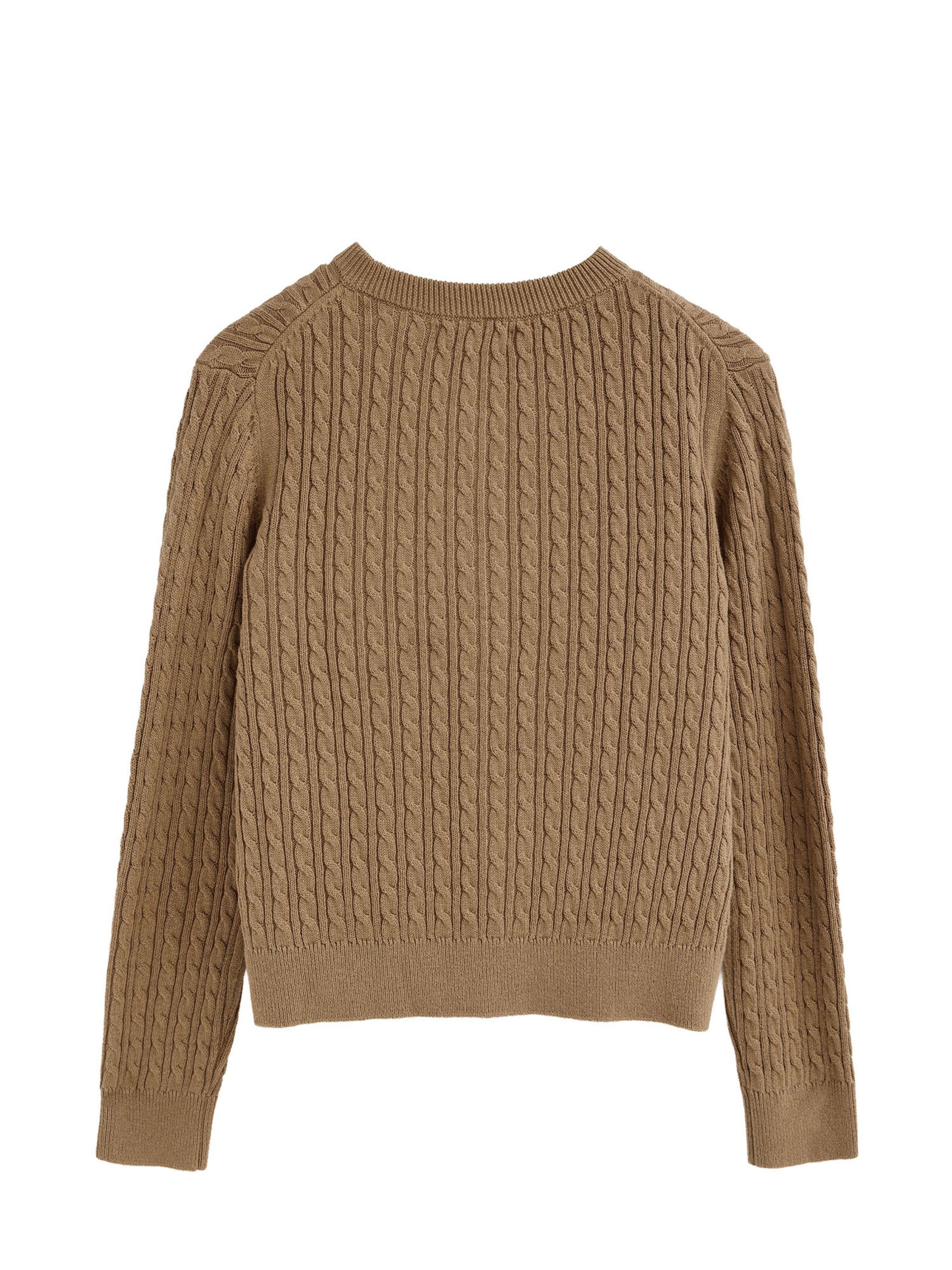Polo Club Pullover in Braun