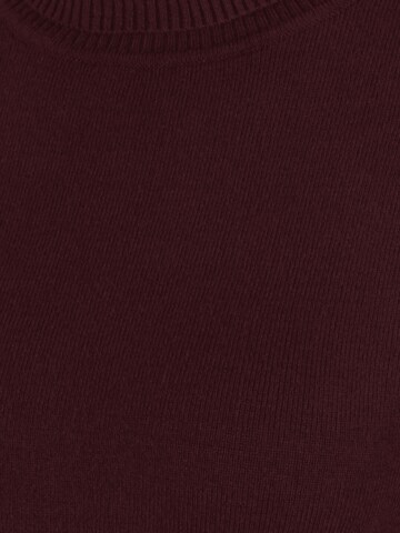 Vero Moda Petite Pullover 'HAPPINESS' in Rot