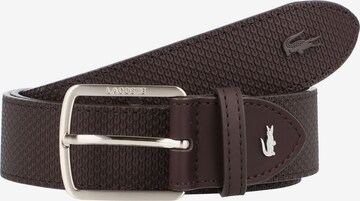 Ceinture LACOSTE en marron