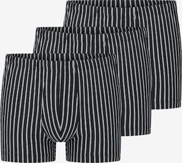 SCHIESSER Boxer shorts '95/5 Essentials Cotton' in Black: front