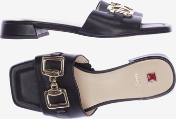 Högl Sandals & High-Heeled Sandals in 37 in Black: front