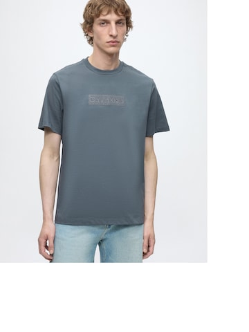 T-Shirt '20S' Calvin Klein en gris : devant