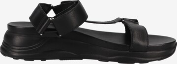 ILC Strap Sandals in Black