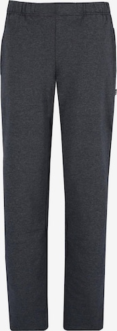HAJO Pants in Grey: front