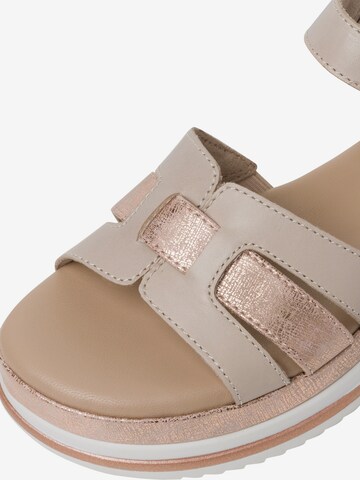 Sandales TAMARIS en beige