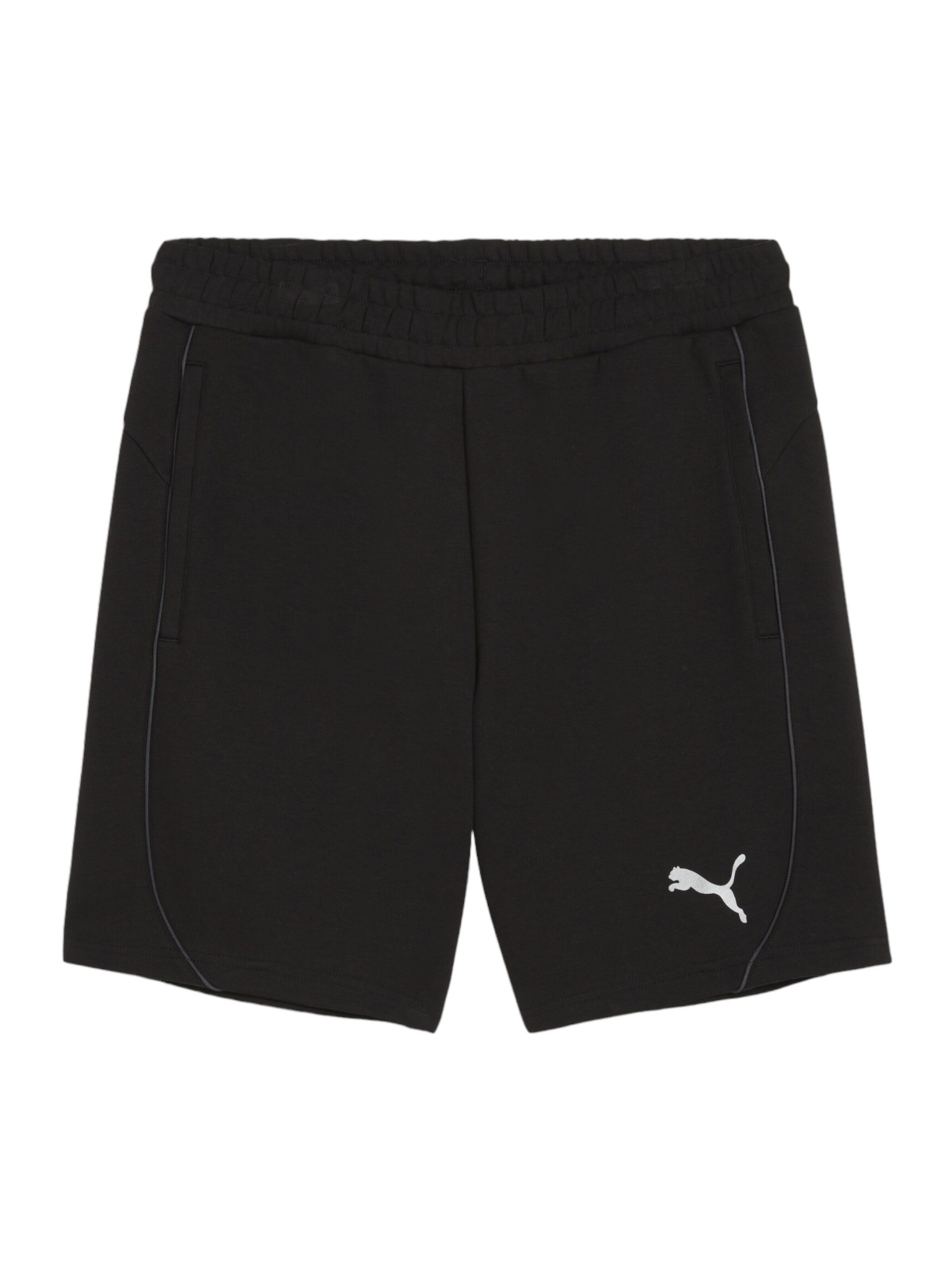 regular Pantaloni sportivi 'TeamFinal' di PUMA in nero: frontale