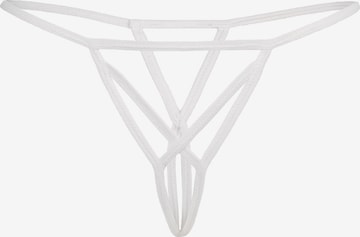 balta TEYLI Siaurikės: priekis