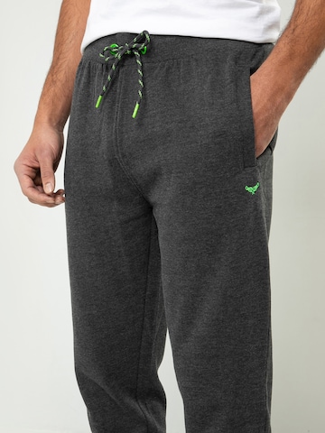 Threadbare Regular Pants 'Trifoliate' in Grey