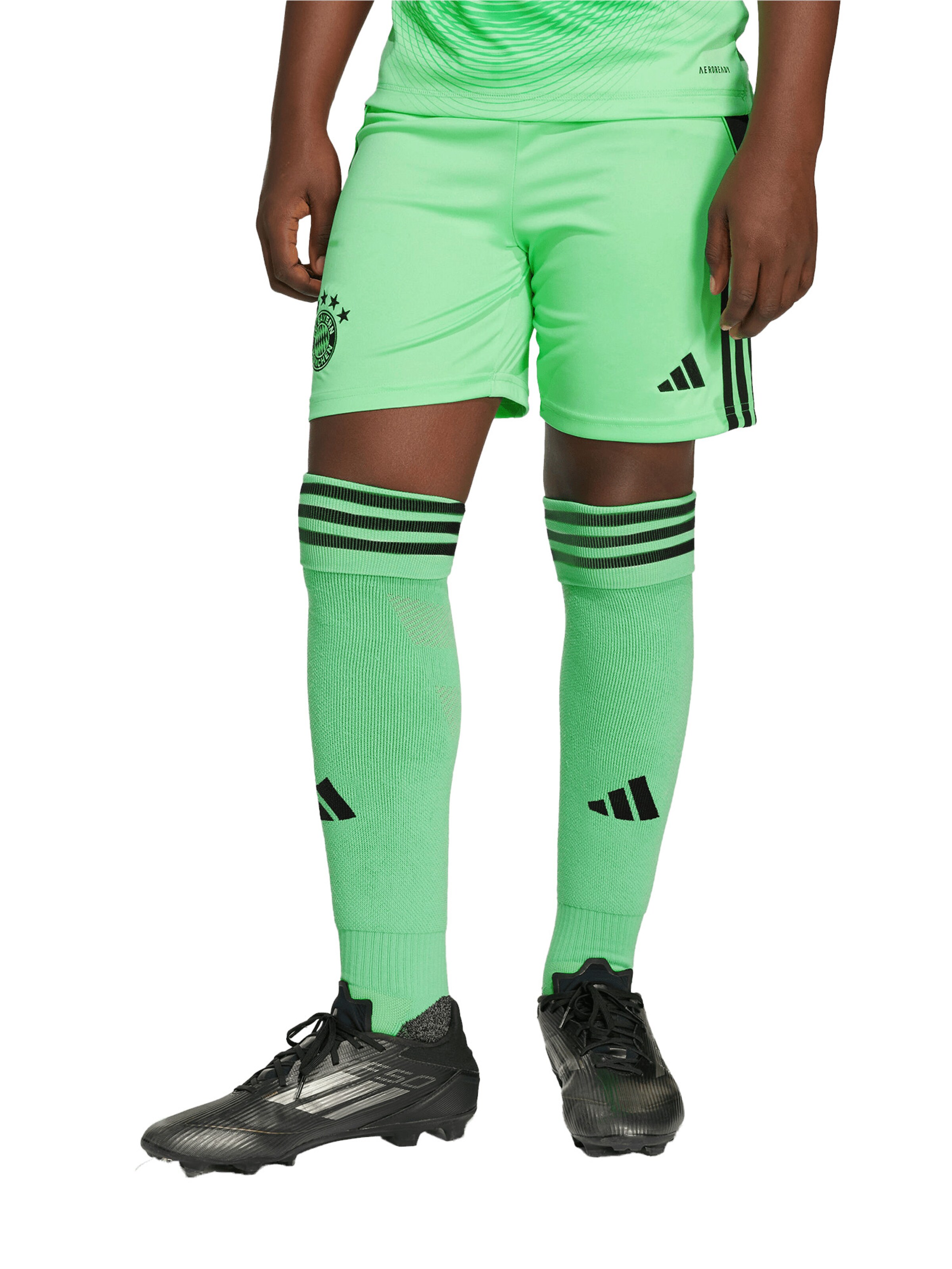 FC BAYERN MÜNCHEN Regular Workout Pants in Green: front